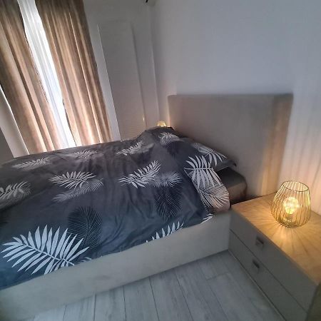 Apartament Moghioros Park Residence Dum1 ブカレスト エクステリア 写真